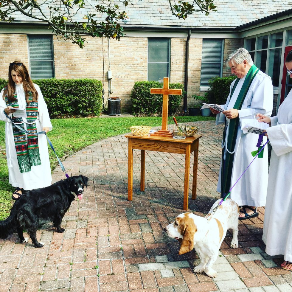 Ministry Inspiration: Holy Hounds | The Episcopal Diocese of Louisiana