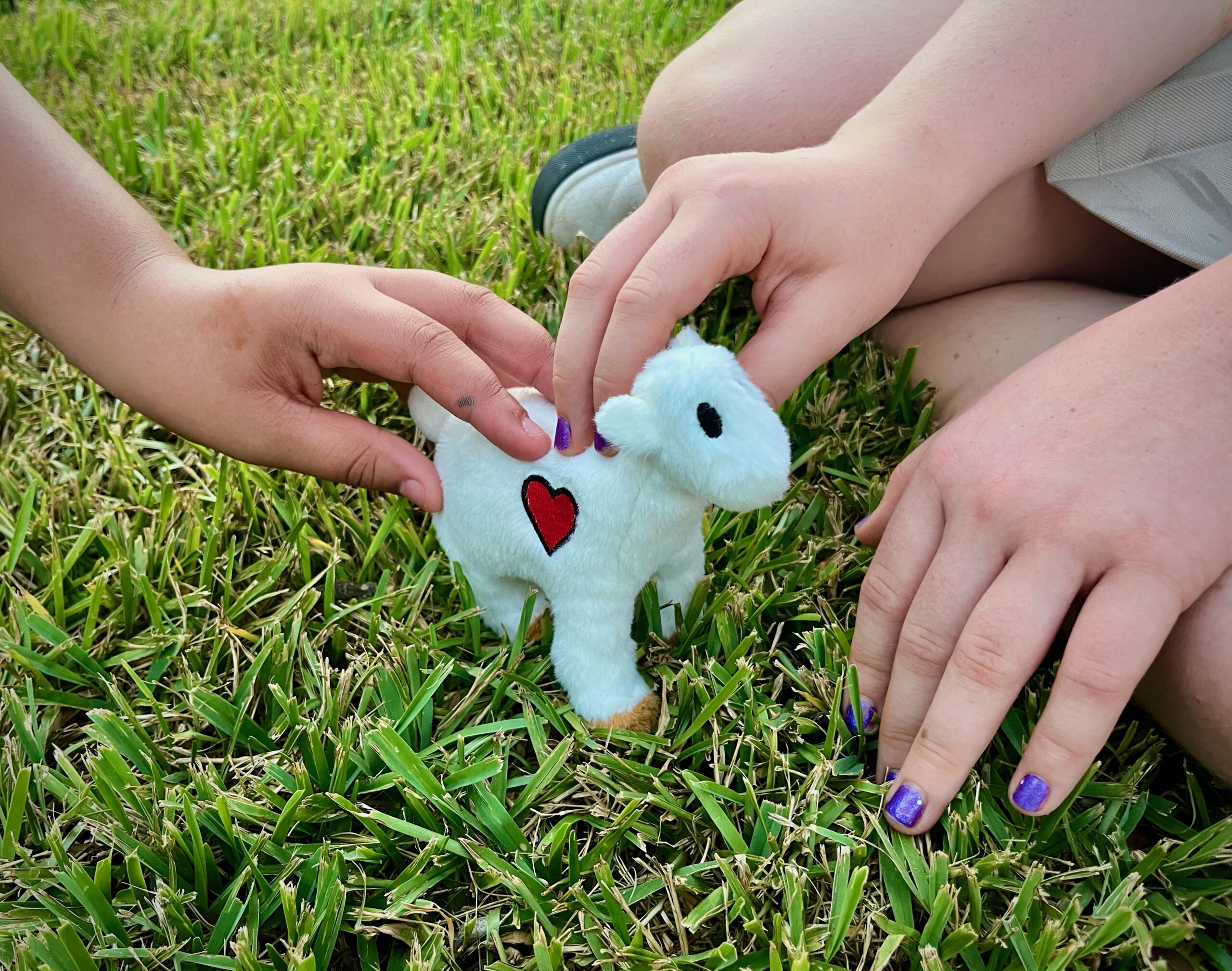 Close up of hands and stuffed lamb.